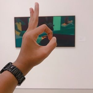 Meet your Posher, Geisa